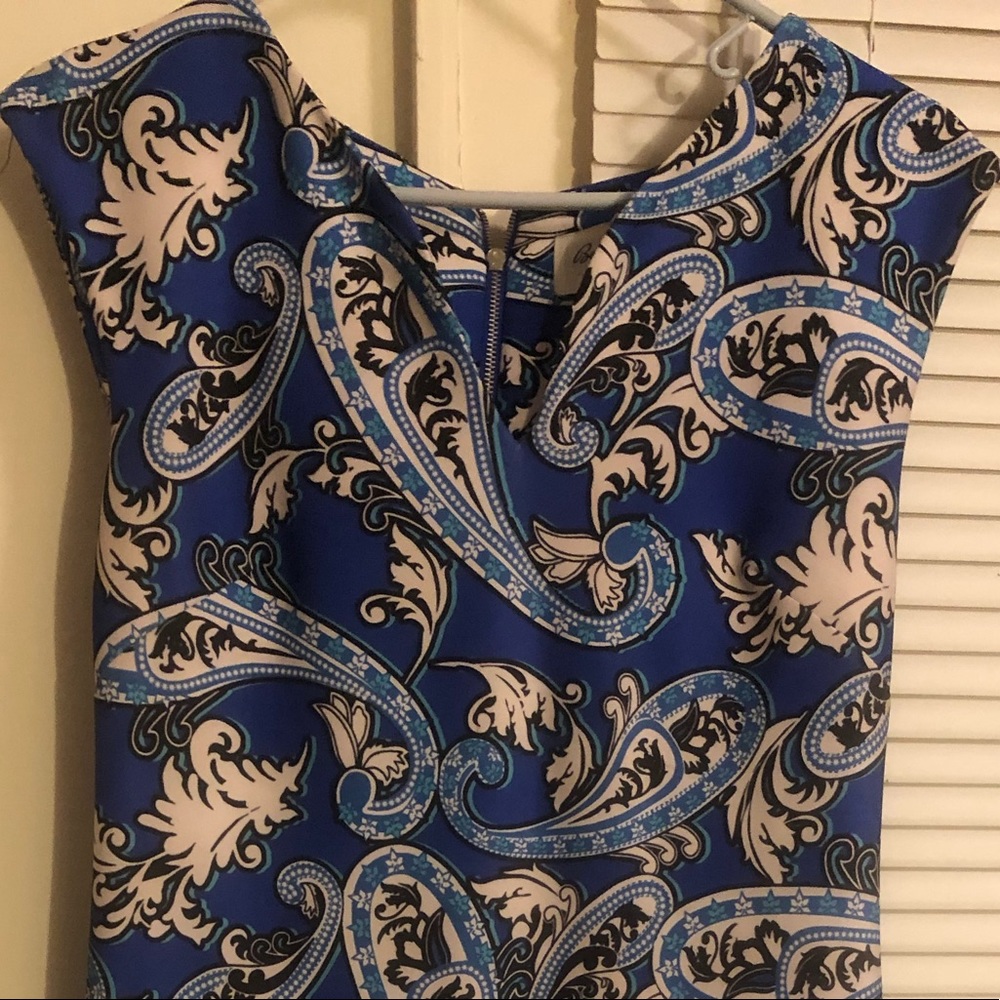 Ladies dress